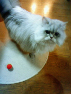 200905152353000.jpg