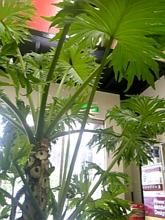 06-08-28_13-08.jpg