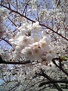 080328_094514_M.jpg