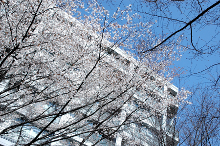 090320_00.jpg