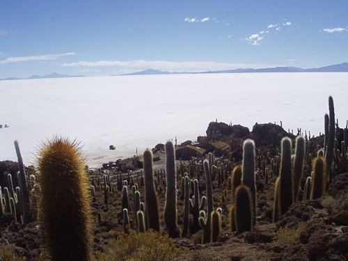 Isla_de_Pescado_Uyuni_Bolivia.jpg