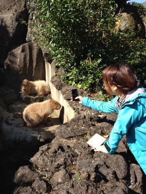 blog111124_3.jpg