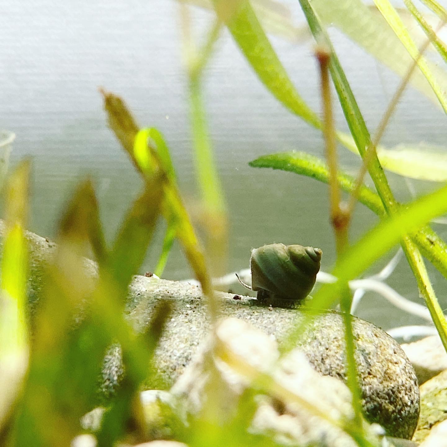 ブログ セルディビジョン ブランディングデザイン 横浜